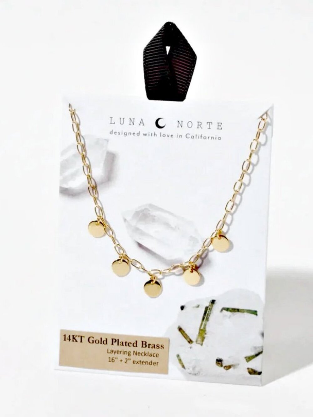 NEW! LUNA NORTE COIN CHARM NECKLACE